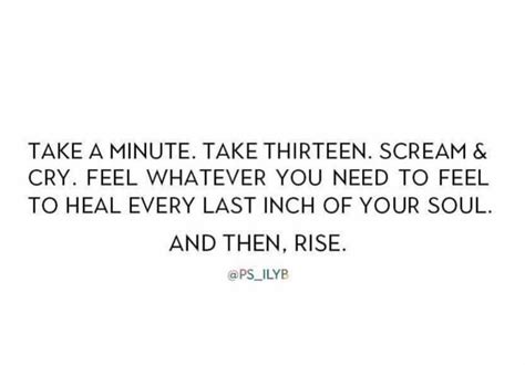 A Quote That Says Take A Minute Take Thirteen Scream And Cry Whatever