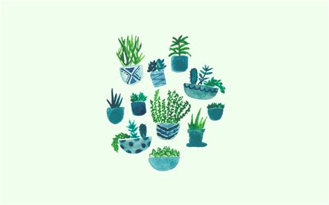 Succulent Aesthetic Desktop Wallpapers On Wallpaperdog