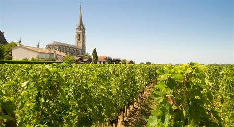 À Pomerol Une Merveilleuse Diversité Parmi Les Vins Primeurs 2020 La