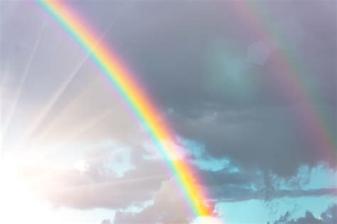 Gambar Gratis Berkabut Rainbow Peregangan Indah Fores