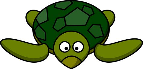 Turtle Clip Art Clip Art Library