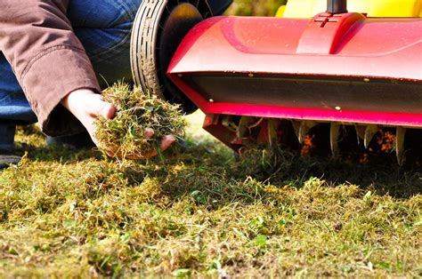 Unser 28,5 cm langes fugenmesser eignet sich ideal zum präzisen ausreißen von unkraut, vor allem in ecken und an schwer zugänglichen stellen! Moos im Rasen loswerden - 4 Tipps