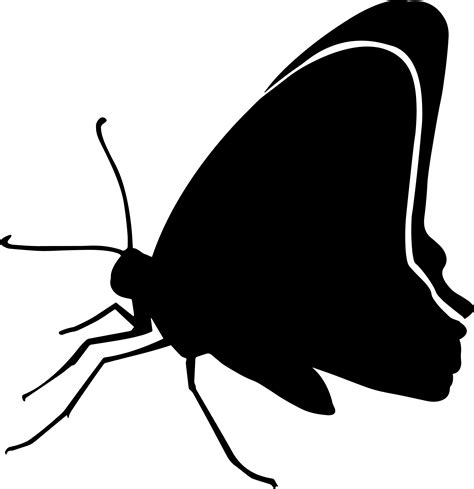 15 Black Butterfly Clip Art Silhouette Image Butterfly Png