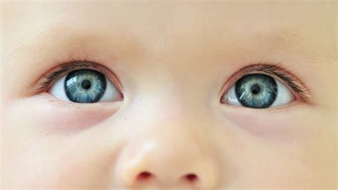 Cambio De Color De Ojos Del Bebé ¿cuándo Termina