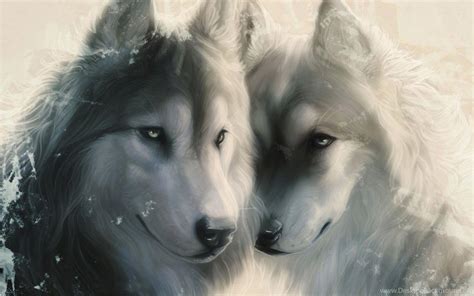 Love Wolf Wallpapers Top Free Love Wolf Backgrounds Wallpaperaccess