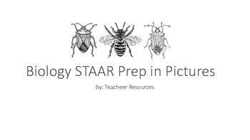 Students attending public high schools in the state of texas are required to pass five staar eoc tests to graduate. Biology STAAR Prep in Pictures | Teacheer Resources | Home decor, Decor, Home