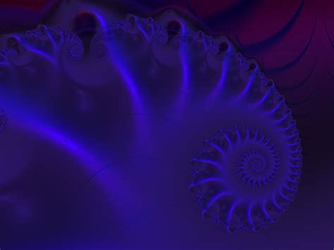 Fractal Art By Vicky Nautilus Wallpaper