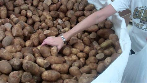 There are also free easter, thanksgiving, and christmas meal and gift services. Potato packaging at Kelly Memorial Food Pantry - El Paso ...