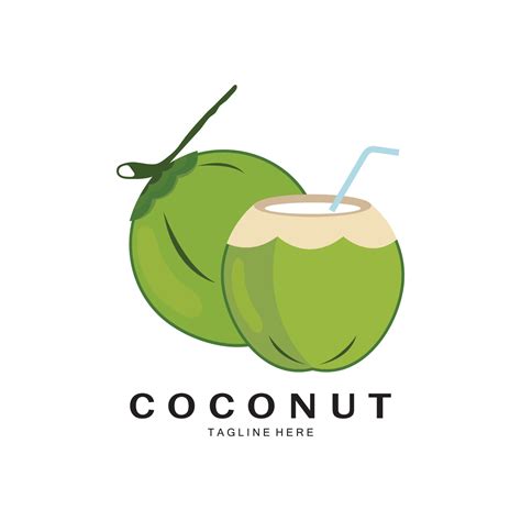Coconut Logo Design Template Illustration Vector 22391549 Vector Art At