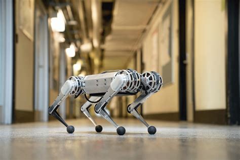 Quadruped Robotics Evolution Of Four Legged Robots Shasthra Snehi
