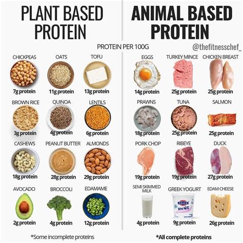 Plant Based Protein And Animal Based Protein In 2020 Workout Food