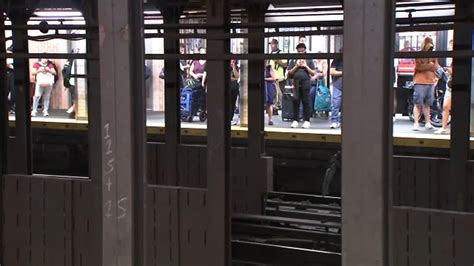Train Service Resumes After Dog On Subway Tracks Prompts Delays Youtube