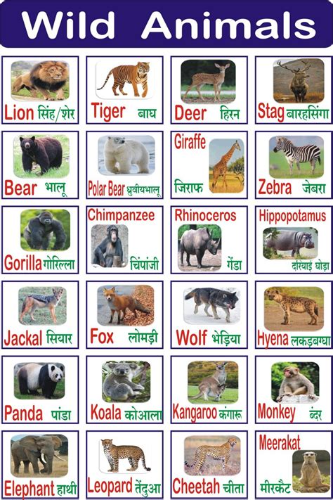 Wild Animals Names With Picture Ll Wild Animals For Kids Wild Animals