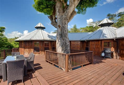 A Treehouse In Belize The New York Times