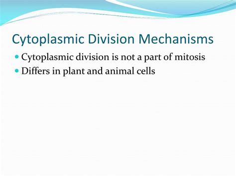 Ppt Cytoplasmic Division Mechanisms Powerpoint Presentation Free