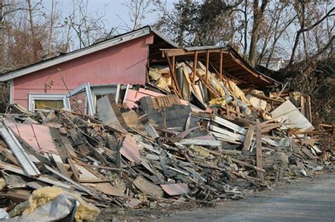Joplin Tornado Casualties Dogs And Cats