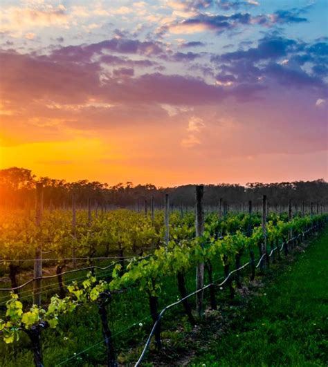 Plan A Long Island Wine Country Tour Discover Long Island