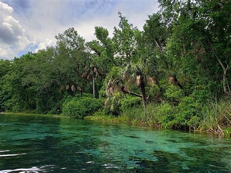 7 Best Things To Do In Ocala National Forest Florida Worldatlas