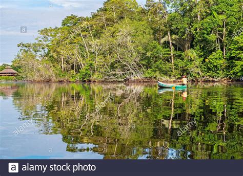 Indigenous Kichwa Man Paddling A Canoe To An Amazon Rainforest Lodge