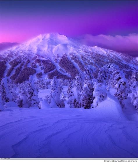 Shades Of Purple Purple Mountain Majesty Shades Of Purple Mountain