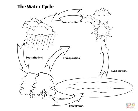 Download and print these bicycle coloring pages for free. Simple Water Cycle coloring page | Free Printable Coloring ...