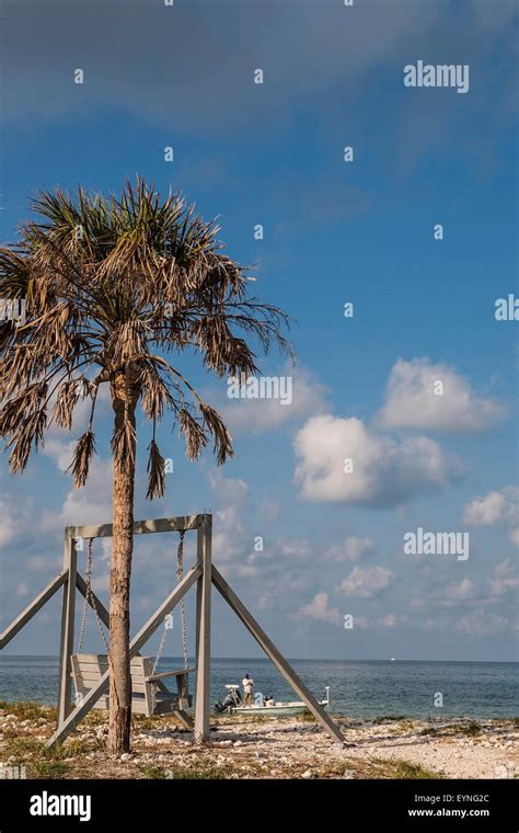 A Typical Florida Scene A Swing A Beach A Man Fishing Honeymoon