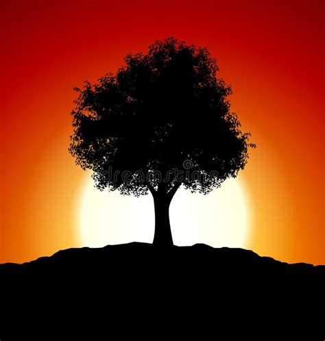 Sunset With Tree Silhouette Stock Illustration Illustration Of Orange