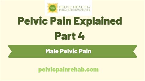 Pelvic Pain Explained Webinar Part 4 Male Pelvic Pain By Elizabeth
