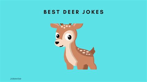100 Funny Deer Puns That Will Cheer You Up Jokewise