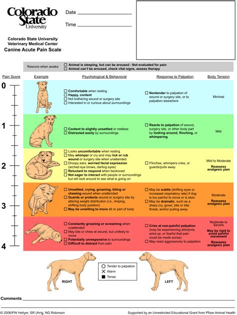Pain Scale Canine Veterinary Medical Center Veterinary Care