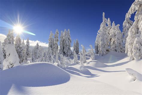 3840x2560 Winter 4k Pictures For Desktop Winter Background Winter