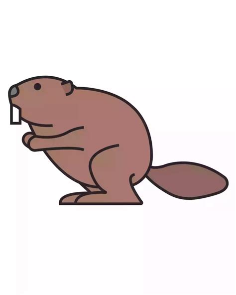 How To Draw A Beaver Step By Step Storiespub