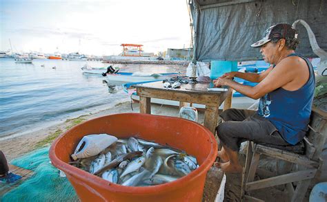 Diputados Incluyen A Pesca Y Acuacultura Como Actividades Primarias