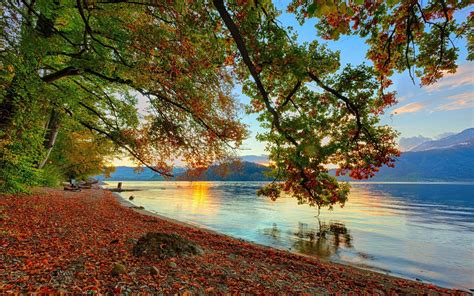 Autumn On The Lake Side Hd Desktop Wallpaper Widescreen High