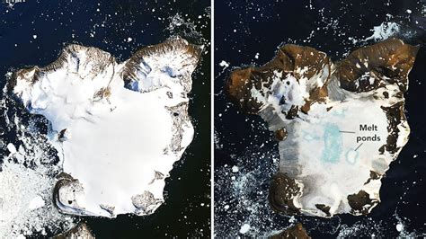 Nasa Reveals Shocking Ice Cap Melt In Antarctica After Record Heat