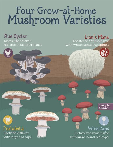 How To Grow Mushrooms Database Plants