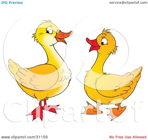 Two Ducks Clipart 20 Free Cliparts Download Images On Clipground 2023