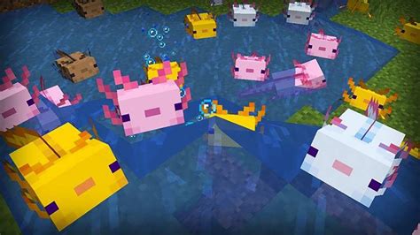 Minecraft Where To Find Axolotls Attack Of The Fanboy