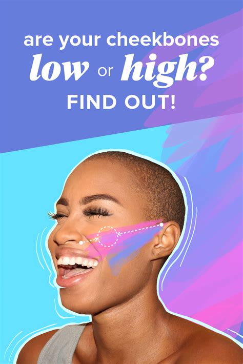 How to know if you have high cheekbones? Cheekbone Anatomy - Anatomy Diagram Book
