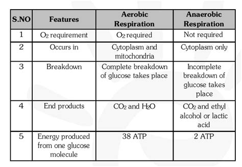 What Are The Differences Between Aerobic And Anaerobic Respiration Name