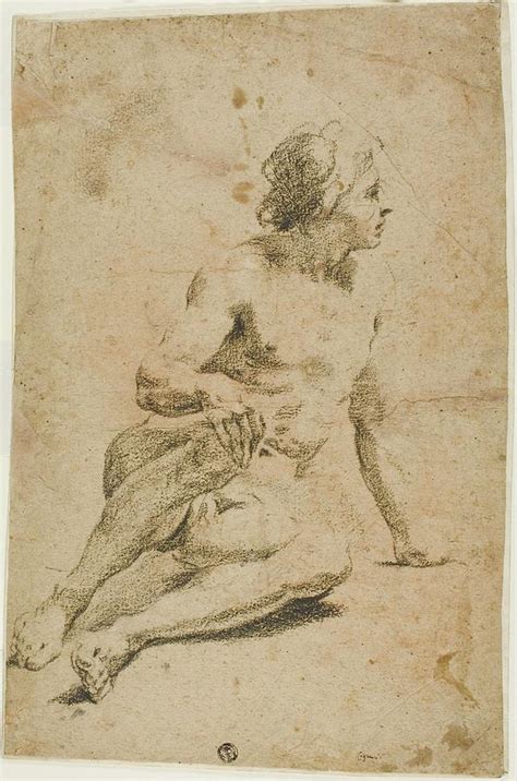 Seated Male Nude Drawing By Carlo Cignani Fine Art America
