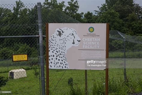 The Cheetah Science Facility At The Smithsonian Conservation Biology