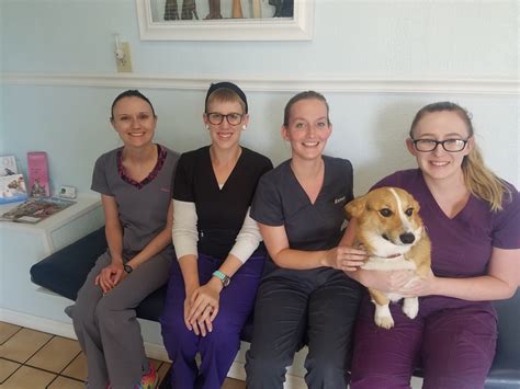 Why The Millennial Generation Is Great For Veterinary Medicine | Web DVM