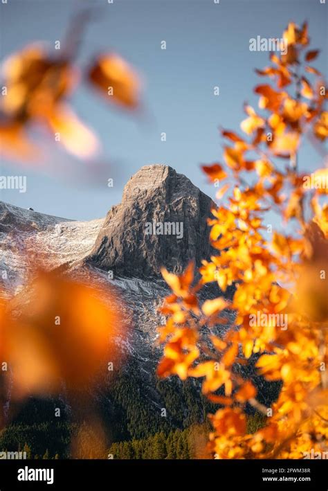 Rocky Mountains Peak With Golden Leaves Covered And Blue Sky In The