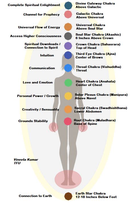 Learning Chakras If Chakra System Is Clogged Energy Is Stagnant
