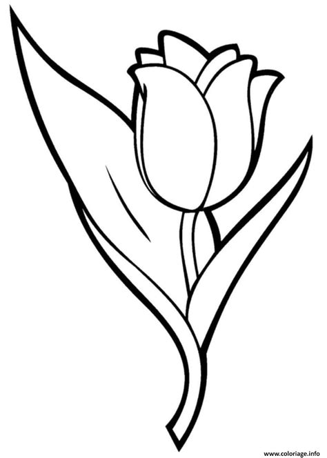 Coloriage Fleur Tulipa Suaveolens Dessin Tulipe à Imprimer