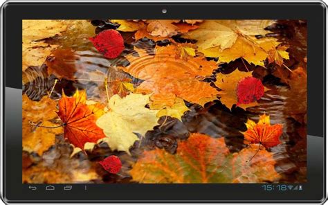 Autumn Rain Live Wallpaper For Android Apk Download