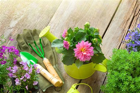 The Benefits Of Gardening For The Residents In Alzheimers Care In