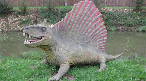 15 Pets You Can Own That Look Like Dinosaurs And