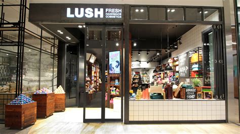 A lush area has a lot of green, healthy plants, grass, and trees: Warringah | Lush Cosmetics Australia